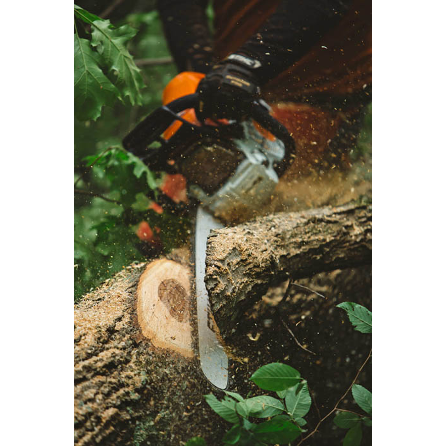 STIHL MS 462 Professional Chainsaw with 25 Inch bar and chain