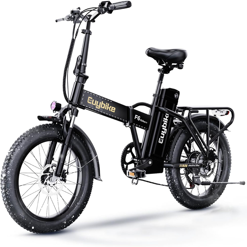 1000W, 48V 20AH Large Removable Battery E Bike